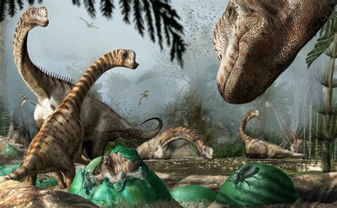 jurassic sauropod dinosaur   precocial  study suggests