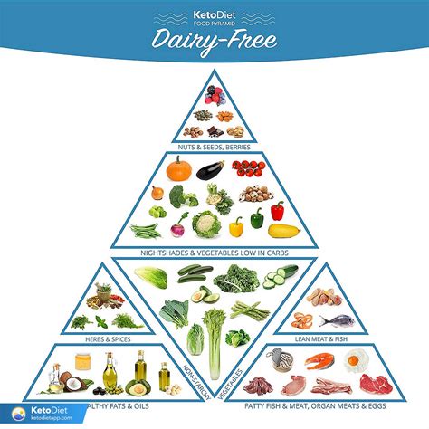 guide  dairy  keto diet   follow   carb diet