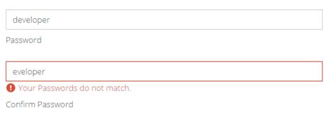 Ext Js Validating Password And Confirm Password Field