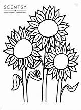 Scentsy Sheets Sunflower sketch template