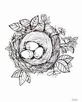 Nest Coloring Bird Rizzo Jennifer Reply Printable Cancel Leave sketch template