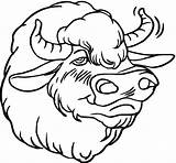 Coloring Pages Bison Buffalo Drawing Head Wildlife Animals Getdrawings sketch template