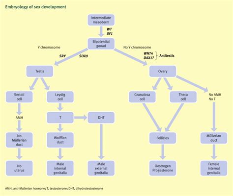 disorders of sex development surgery oxford international edition