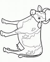 Cow Outline Clipart Coloring Library Pages sketch template