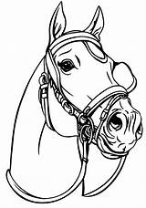 Colorir Coloriage Chevaux Cavallo Testa Desenhos Cheval Realistas Caballos Dressage Cavalier Realista Tête Attelage Horses Hugo sketch template