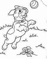 Coloring Pages Puppies Printable Kids sketch template