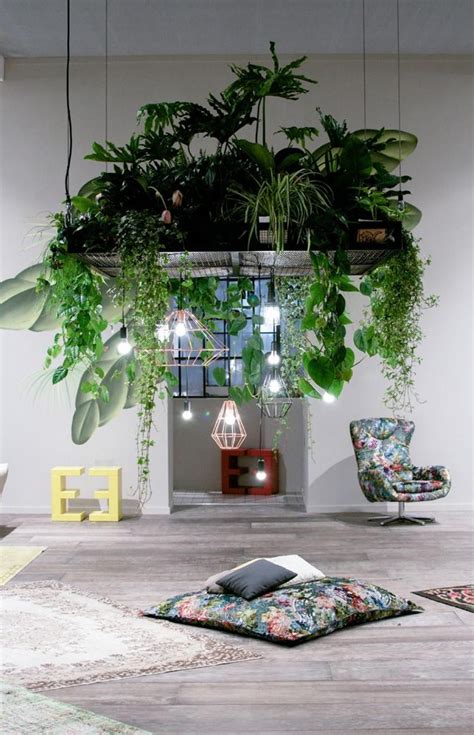 idees lumineuses pour decorer son interieur plant decor indoor house plants indoor
