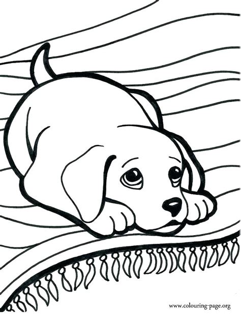wiener dog coloring pages  getcoloringscom  printable