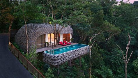 coolest tree houses  thailand    sleep  tripzillastays