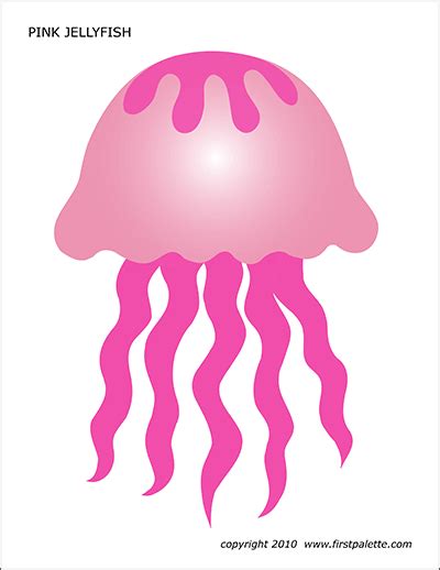 jellyfish  printable templates coloring pages firstpalettecom