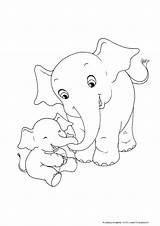 Stampare Elefanti Mamma Elefante Bacheca Animali Colora Disney Siwagner sketch template