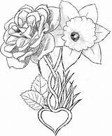 Flower Narcissus Tattoo Daffodil Drawing Birth March Gladiolus Flowers Daffodils Drawings Tattoos December May Marigold Carnation Daisy Google Aster Getdrawings sketch template