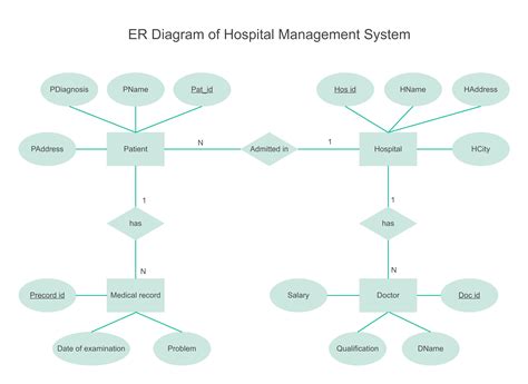 er diagram  hospital management system hospitality management
