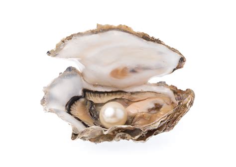 natural pearls extremely beautiful  rare tps blog