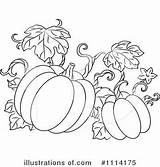 Pumpkin Clipart Pumpkins Clip Vine Vines Coloring Fall Illustration Royalty Drawing Pages Halloween Vector Graphics Kids Color Dibujos Turkey Rf sketch template