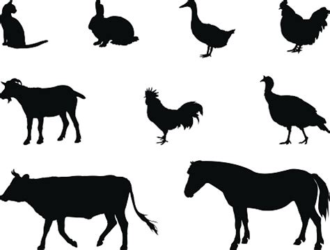 farm animals silhouette stock illustration  image