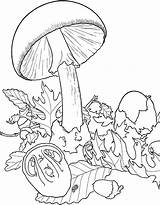 Coloring Mushrooms Pages Kids Print Color Printable Justcolor sketch template