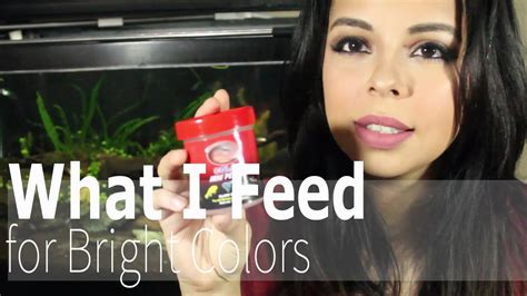 feed  bright colors youtube