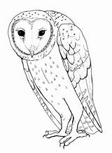 Owl Barn Coloring Pages Printable Color Animals Animal Sheet Colouring Print Town Animalstown Kids Book Sheets Adults Visit Adult sketch template