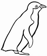 Pinguim Penguins Penguin Poplembrancinhas sketch template