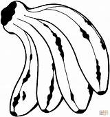 Banana Colorare Banane Bananas sketch template