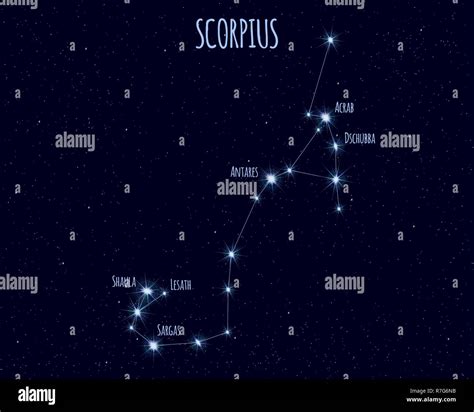 scorpius  scorpion constellation vector illustration   names  basic stars