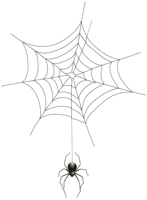 spider web clipart  background