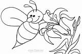 Coloring Bee Bumble Pages Bees Printable Kids Easy Cool2bkids Activities Busy Print sketch template