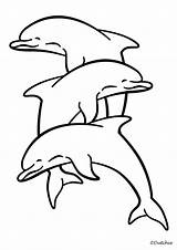 Dolfijnen Kleurplaten sketch template