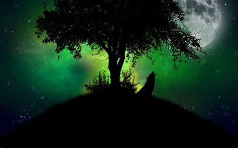 wolf backgrounds   pixelstalknet