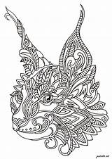 Cat Zentangle Cats Coloring Head Cute Pages Adults Adult Details Nature Animals sketch template