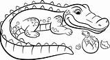 Crocodile Coloring Alligator Pages Baby Drawing Cute Cartoon Kids Animals Alligators Color Easy Printable Getdrawings Getcolorings Reptiles Clipartmag Mother Simple sketch template