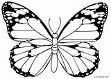 Butterfly Coloring Pages Printable Cartoon Kids Monarch Drawing Seniors Cool2bkids Butterflies Color Colouring Getcolorings Print Getdrawings But Colorings sketch template