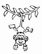 Monkey Hanging Cliparts Coloring Drawing Tree Attribution Forget Link Don Pages sketch template