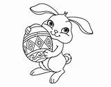 Pascua Conejo Huevo Dibujos Colorear sketch template