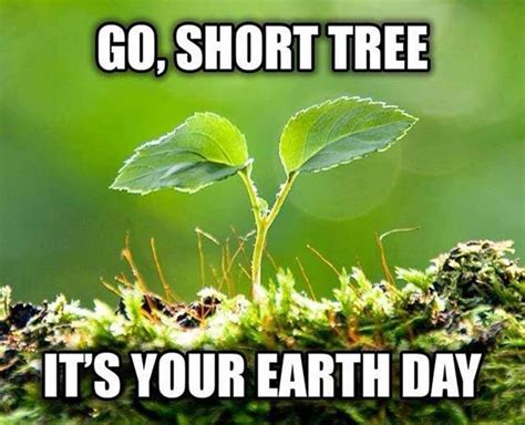 happy earth day images 2019 pictures photos pics hd wallpapers