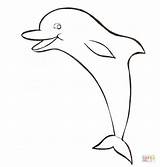 Dolphin Dolphins Delfin Ausmalbild Kostenlos Golfinho Resultado Springt Sternenschweif Supercoloring Mermaids sketch template