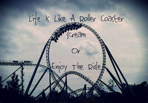 Life Is A Rollercoaster In 2020 Roller Coaster Roller Coaster Quotes