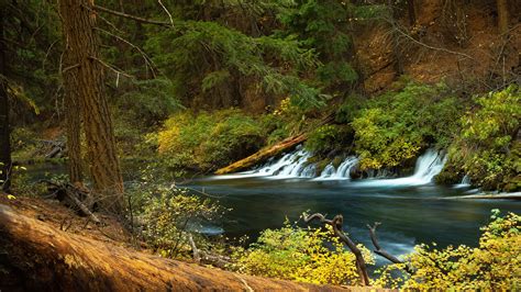 oregon forest waterfall  river  hd nature wallpapers hd wallpapers id