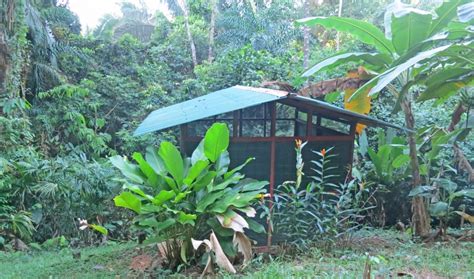 jungle camp wilderness inquiry