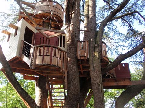 pictures  super fun kids tree houses