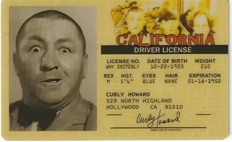 curly howard  stooges celebrity drivers license  picclick