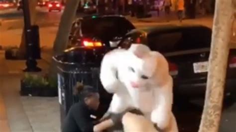 Brawling Easter Bunny A Wanted Man Cops Say Miami Herald