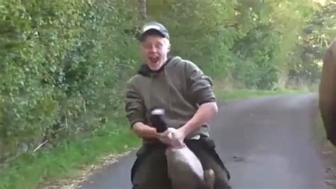 fox hunting steward simulates sexual gesture with dead goose