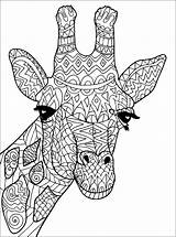 Ausmalbilder Erwachsene Ausdrucken Malbuch Giraffen sketch template