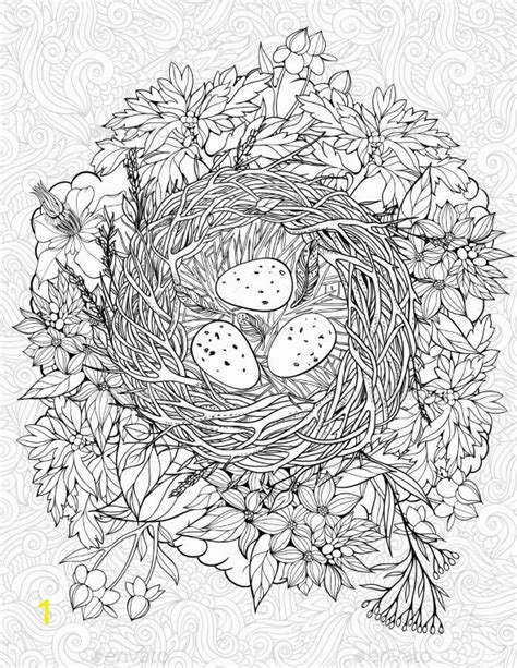 bird nest coloring page divyajananiorg