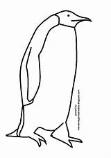 Mewarnai Pinguin Sketsa Hewan Koleksi Terpopuler Binatang sketch template