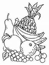 Still Life Fruit Coloring Pages Drawing Fruits sketch template