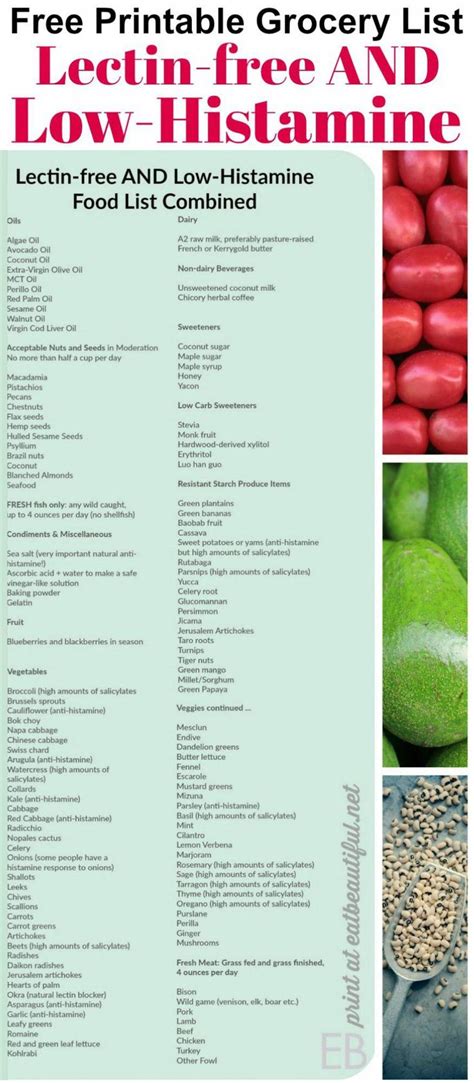 lectin    histamine combined food list grocery list