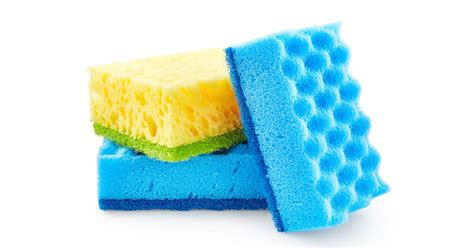 clean sponge kitchen product cleaning guide